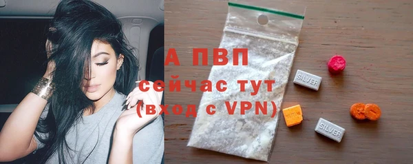 молекула духа Богородицк