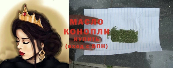 молекула духа Богородицк