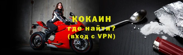 молекула духа Богородицк