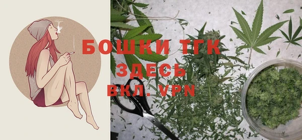 молекула духа Богородицк