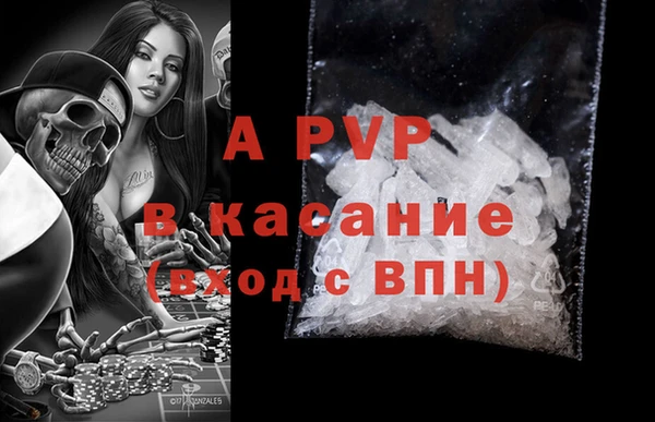 гашиш Богданович