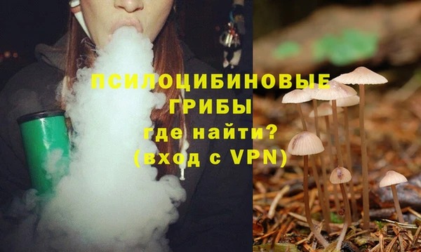 молекула духа Богородицк
