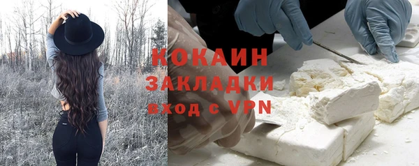 молекула духа Богородицк