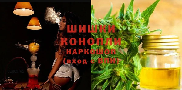 гашиш Богданович