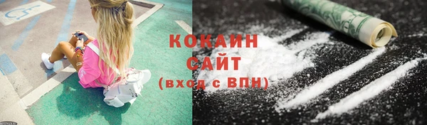 молекула духа Богородицк